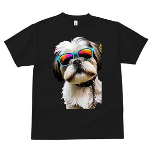 V[Y[ TVc  j[NfUCfB[X t@  t vg lJWA 킢 lԗp Mtg I ҏ΍ TOX V[Y[  `F[