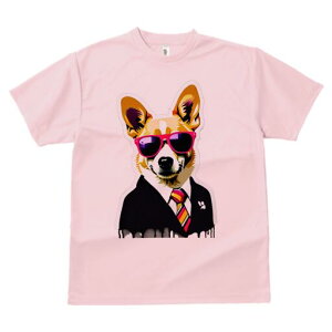 R[M[ TVc  j[NfUCfB[X t@  t vg lJWA 킢 lԗp Mtg I ҏ΍ TOX R[M[ X[c lN^C A[g