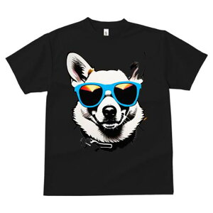 R[M[ TVc  j[NfUCfB[X t@  t vg lJWA 킢 lԗp Mtg I ҏ΍ TOX R[M[