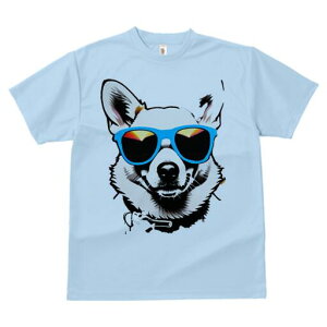 R[M[ TVc  j[NfUCfB[X t@  t vg lJWA 킢 lԗp Mtg I ҏ΍ TOX R[M[