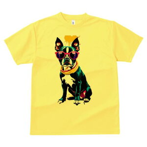 {XgeA TVc  j[NfUCfB[X t@  t vg lJWA 킢 lԗp Mtg I ҏ΍ TOX {XgeA 