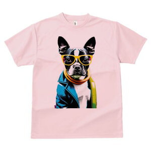 {XgeA TVc  j[NfUCfB[X t@  t vg lJWA 킢 lԗp Mtg I ҏ΍ TOX {XgeA XJ[t W