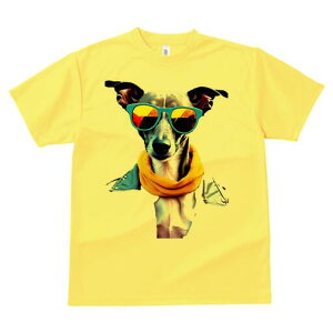 C^AO[nEh TVc  j[NfUCfB[X t@  t vg lJWA 킢 lԗp Mtg I ҏ΍ TOX C^AO[n