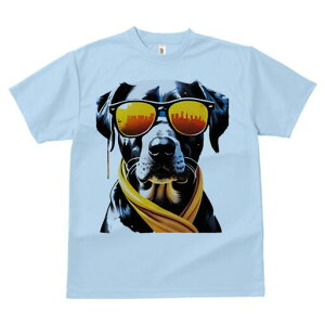 _VA TVc  j[NfUCfB[X t@  t vg lJWA 킢 lԗp Mtg I ҏ΍ TOX _VA XJ[t VeB s