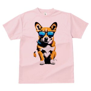 R[M[ TVc  j[NfUCfB[X t@  t vg lJWA 킢 lԗp Mtg I ҏ΍ TOX R[M[