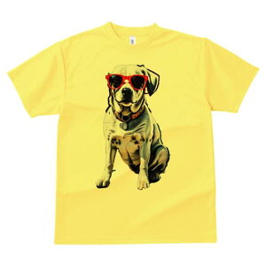 _VA TVc  j[NfUCfB[X t@  t vg lJWA 킢 lԗp Mtg I ҏ΍ TOX _VA 