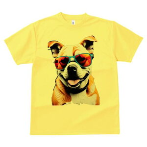 uhbO TVc  j[NfUCfB[X t@  t vg lJWA 킢 lԗp Mtg I ҏ΍ TOX uhbO