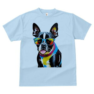 {XgeA TVc  j[NfUCfB[X t@  t vg lJWA 킢 lԗp Mtg I ҏ΍ TOX {XgeA 