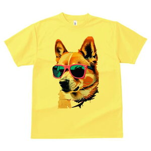 R[M[ TVc  j[NfUCfB[X t@  t vg lJWA 킢 lԗp Mtg I ҏ΍ TOX R[M[