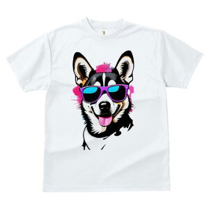 R[M[ TVc  j[NfUCfB[X t@  t vg lJWA 킢 lԗp Mtg I ҏ΍ TOX R[M[ |bvA[g A[g 킢