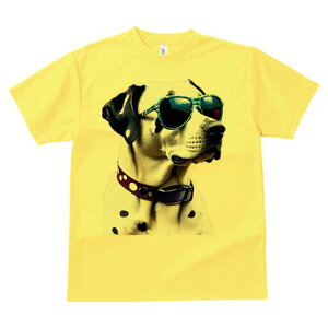 _VA TVc  j[NfUCfB[X t@  t vg lJWA 킢 lԗp Mtg I ҏ΍ TOX _VA 