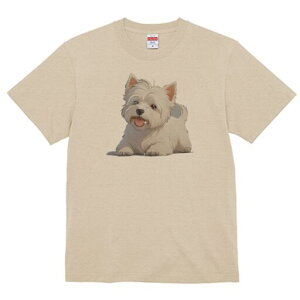 EGXgnChzCgeA TVc  j[NfUCfB[X t@  t vg lJWA 킢 lԗp Mtg I ҏ΍ EGXgnChz