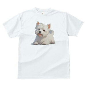 �E�G�X�g�n�C�����h�z���C�g�e���A T�V���c ���� ���j�[�N�f�U�C�����f�B�[�X ���t�@�� ���� �t�� �v�����g ��l�J�W���A�� ���킢�� �l�ԗp �M�t�g ���I �ҏ��΍� �E�G�X�g�n�C�����h�z