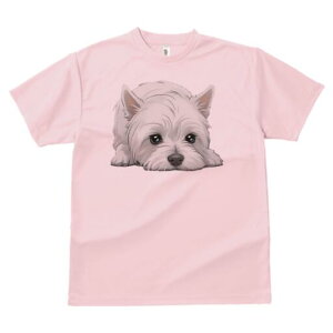 EGXgnChzCgeA TVc  j[NfUCfB[X t@  t vg lJWA 킢 lԗp Mtg I ҏ΍ EGXgnChz