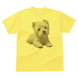 EGXgnChzCgeA TVc  j[NfUCfB[X t@  t vg lJWA 킢 lԗp Mtg I ҏ΍ EGXgnChz