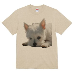 EGXgnChzCgeA TVc  j[NfUCY LbY t@  t vg lJWA 킢 lԗp Mtg I ҏ΍ EGXgnCh