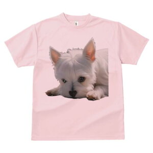 EGXgnChzCgeA TVc  j[NfUCfB[X t@  t vg lJWA 킢 lԗp Mtg I ҏ΍ EGXgnChz