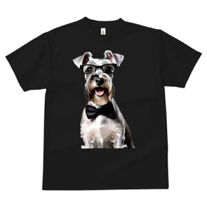 ~j`AViEU[ TVc  j[NfUCY LbY t@  t vg lJWA 킢 lԗp Mtg I ҏ΍ Kl ~j`AViEU