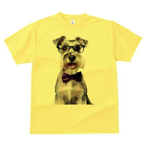 ~j`AViEU[ TVc  j[NfUCY LbY t@  t vg lJWA 킢 lԗp Mtg I ҏ΍ Kl ~j`AViEU