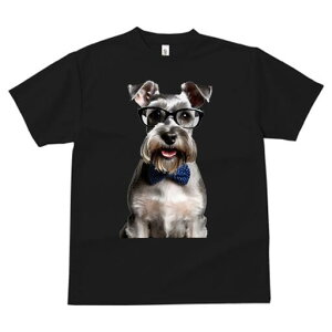 ~j`AViEU[ TVc  j[NfUCfB[X t@  t vg lJWA 킢 lԗp Mtg I ҏ΍ Kl ~j`AViEU[ 