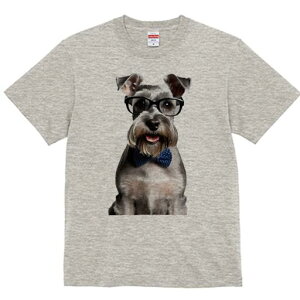 ~j`AViEU[ TVc  j[NfUCfB[X t@  t vg lJWA 킢 lԗp Mtg I ҏ΍ Kl ~j`AViEU[ 