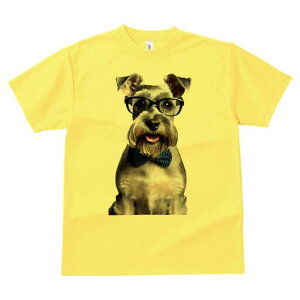 ~j`AViEU[ TVc  j[NfUCY LbY t@  t vg lJWA 킢 lԗp Mtg I ҏ΍ Kl ~j`AViEU