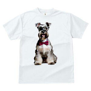 ~j`AViEU[ TVc  j[NfUCfB[X t@  t vg lJWA 킢 lԗp Mtg I ҏ΍ Kl ~j`AViEU[ 