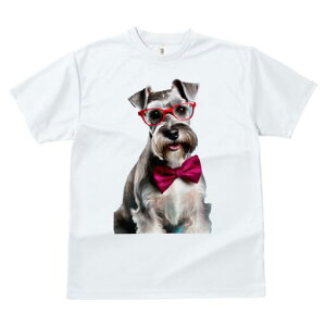 ~j`AViEU[ TVc  j[NfUCY LbY t@  t vg lJWA 킢 lԗp Mtg I ҏ΍ Kl ~j`AViEU