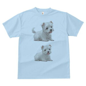 EGXgnChzCgeA TVc  j[NfUCfB[X t@  t vg lJWA 킢 lԗp Mtg I ҏ΍ EGXgnChz