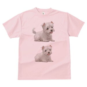 EGXgnChzCgeA TVc  j[NfUCfB[X t@  t vg lJWA 킢 lԗp Mtg I ҏ΍ EGXgnChz