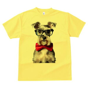 ~j`AViEU[ TVc  j[NfUCfB[X t@  t vg lJWA 킢 lԗp Mtg I ҏ΍ Kl ~j`AViEU[ 