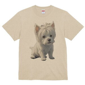 EGXgnChzCgeA TVc  j[NfUCfB[X t@  t vg lJWA 킢 lԗp Mtg I ҏ΍ EGXgnChz