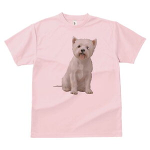 EGXgnChzCgeA TVc  j[NfUCfB[X t@  t vg lJWA 킢 lԗp Mtg I ҏ΍ EGXgnChz