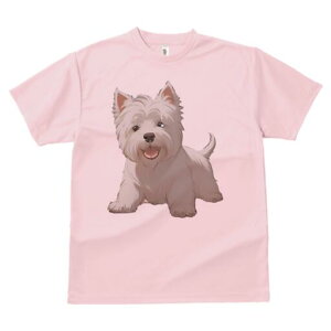 EGXgnChzCgeA TVc  j[NfUCfB[X t@  t vg lJWA 킢 lԗp Mtg I ҏ΍ EGXgnChz