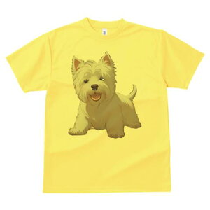 EGXgnChzCgeA TVc  j[NfUCfB[X t@  t vg lJWA 킢 lԗp Mtg I ҏ΍ EGXgnChz