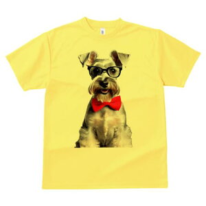 ~j`AViEU[ TVc  j[NfUCfB[X t@  t vg lJWA 킢 lԗp Mtg I ҏ΍ lN^C ~j`AViEU