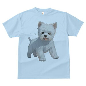 EGXgnChzCgeA TVc  j[NfUCfB[X t@  t vg lJWA 킢 lԗp Mtg I ҏ΍ EGXgnChz