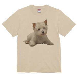 EGXgnChzCgeA TVc  j[NfUCfB[X t@  t vg lJWA 킢 lԗp Mtg I ҏ΍  EGXgnCh