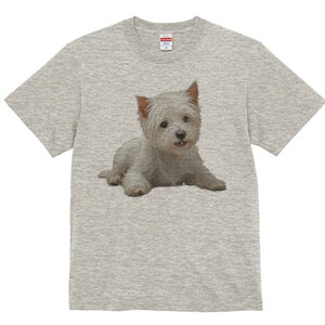 EGXgnChzCgeA TVc  j[NfUCfB[X t@  t vg lJWA 킢 lԗp Mtg I ҏ΍  EGXgnCh