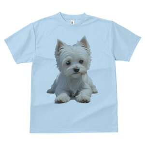 EGXgnChzCgeA TVc  j[NfUCfB[X t@  t vg lJWA 킢 lԗp Mtg I ҏ΍ EGXgnChz