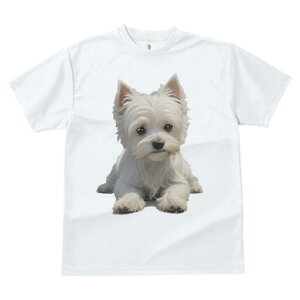 �E�G�X�g�n�C�����h�z���C�g�e���A T�V���c ���� ���j�[�N�f�U�C�����f�B�[�X ���t�@�� ���� �t�� �v�����g ��l�J�W���A�� ���킢�� �l�ԗp �M�t�g ���I �ҏ��΍� �E�G�X�g�n�C�����h�z