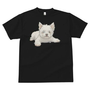 EGXgnChzCgeA TVc  j[NfUCY LbY t@  t vg lJWA 킢 lԗp Mtg I ҏ΍ EGXgnCh