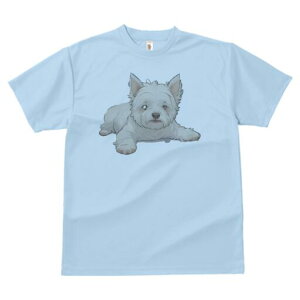 EGXgnChzCgeA TVc  j[NfUCfB[X t@  t vg lJWA 킢 lԗp Mtg I ҏ΍ EGXgnChz