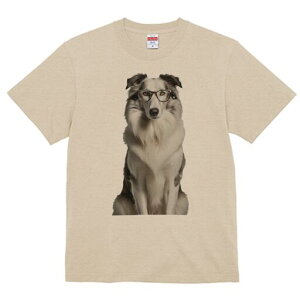 {[_[R[ TVc  j[NfUCfB[X t@  t vg lJWA 킢 lԗp Mtg I ҏ΍ Kl {[_[R[