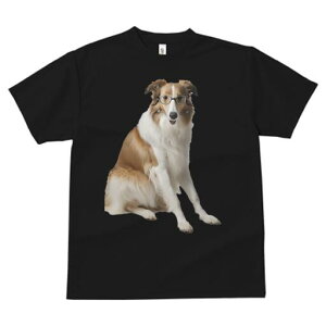 R[ TVc  j[NfUCfB[X t@  t vg lJWA 킢 lԗp Mtg I ҏ΍ Kl R[