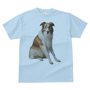 R[ TVc  j[NfUCfB[X t@  t vg lJWA 킢 lԗp Mtg I ҏ΍ Kl R[