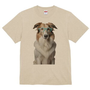 {[_[R[ TVc  j[NfUCfB[X t@  t vg lJWA 킢 lԗp Mtg I ҏ΍ Kl {[_[R[