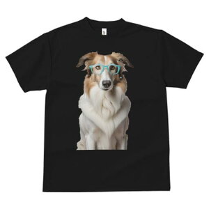 {[_[R[ TVc  j[NfUCfB[X t@  t vg lJWA 킢 lԗp Mtg I ҏ΍ Kl {[_[R[