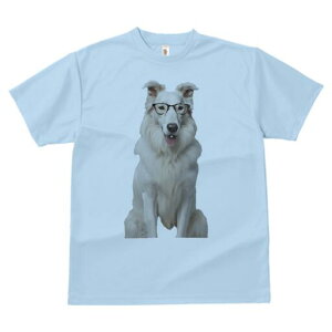 {[_[R[ TVc  j[NfUCfB[X t@  t vg lJWA 킢 lԗp Mtg I ҏ΍ Kl {[_[R[