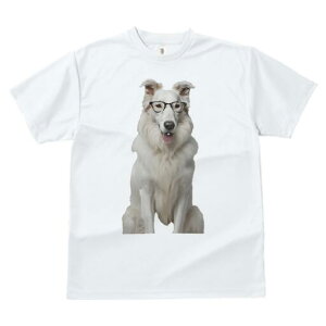 {[_[R[ TVc  j[NfUCfB[X t@  t vg lJWA 킢 lԗp Mtg I ҏ΍ Kl {[_[R[